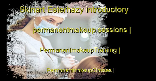 Skinart Esterhazy introductory permanentmakeup sessions | PermanentmakeupTraining | PermanentmakeupClasses | SkinartTraining-Canada